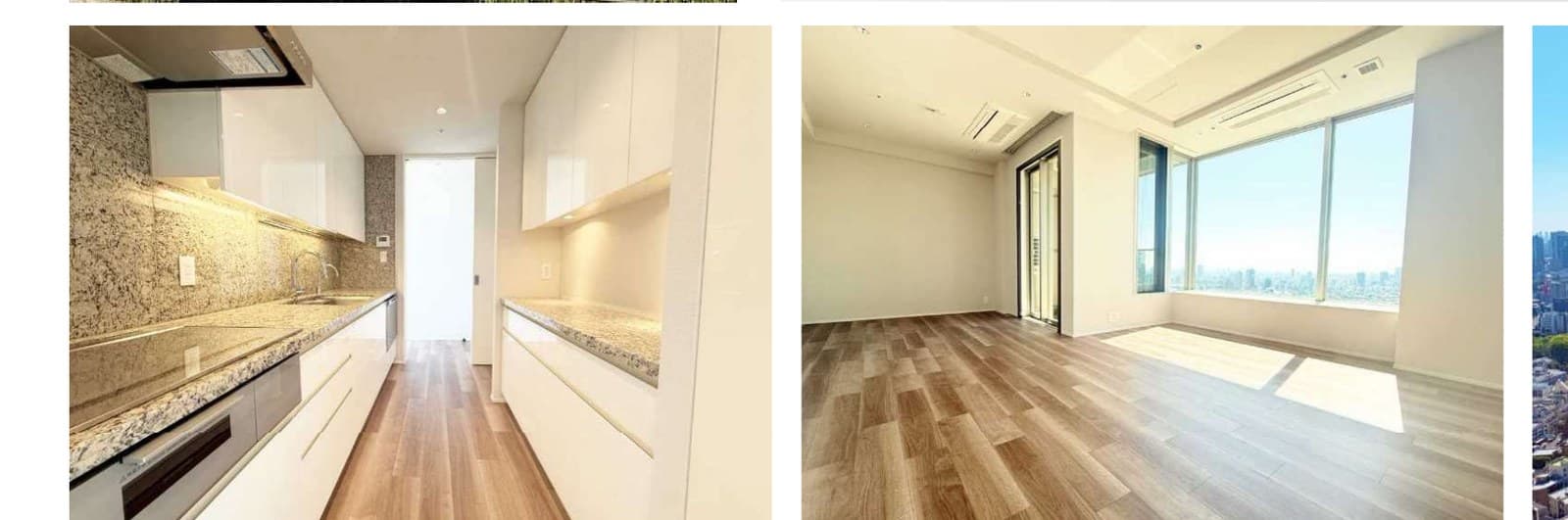 Park Court Akasaka The Tower 39F
