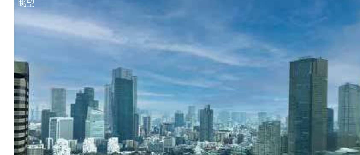 Park Court Akasaka The Tower Room 3506